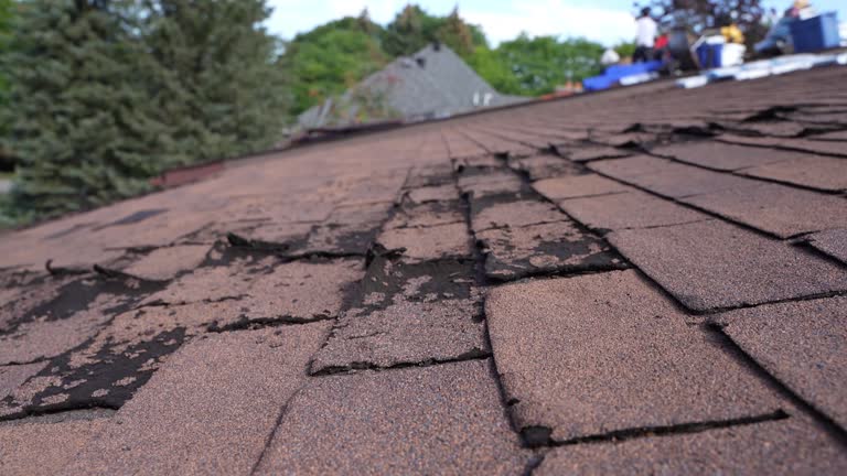 Steel Roofing in Morgantown, KY